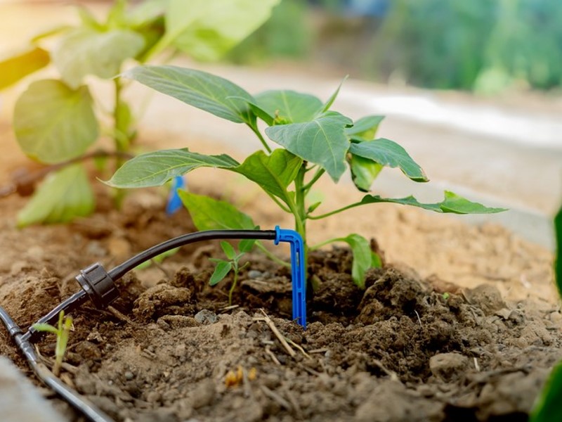 Kapljično namakanje